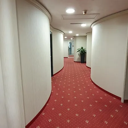 酒店 欧罗巴酒店 3*